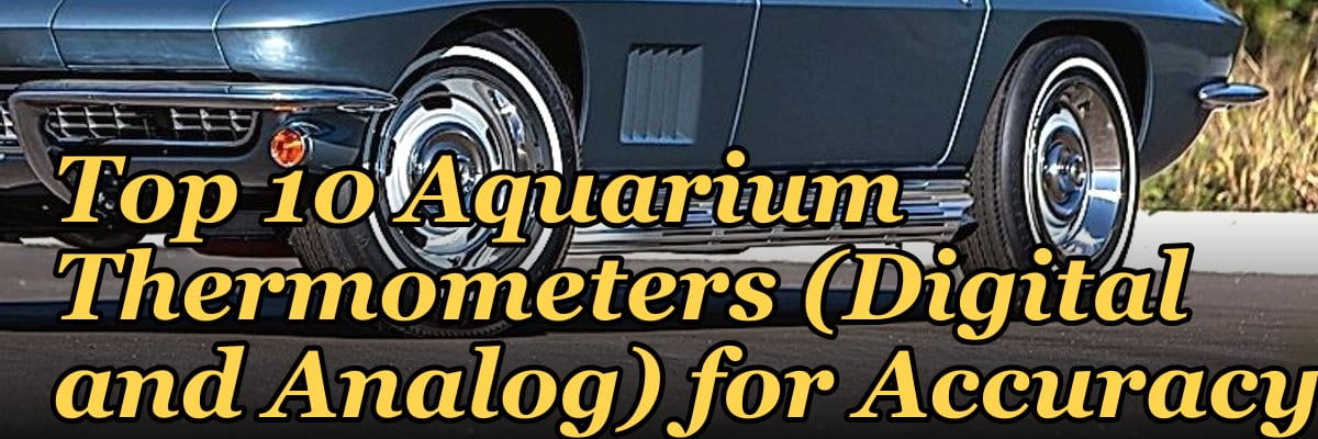Top 10 Aquarium Thermometers (Digital and Analog) for Accuracy