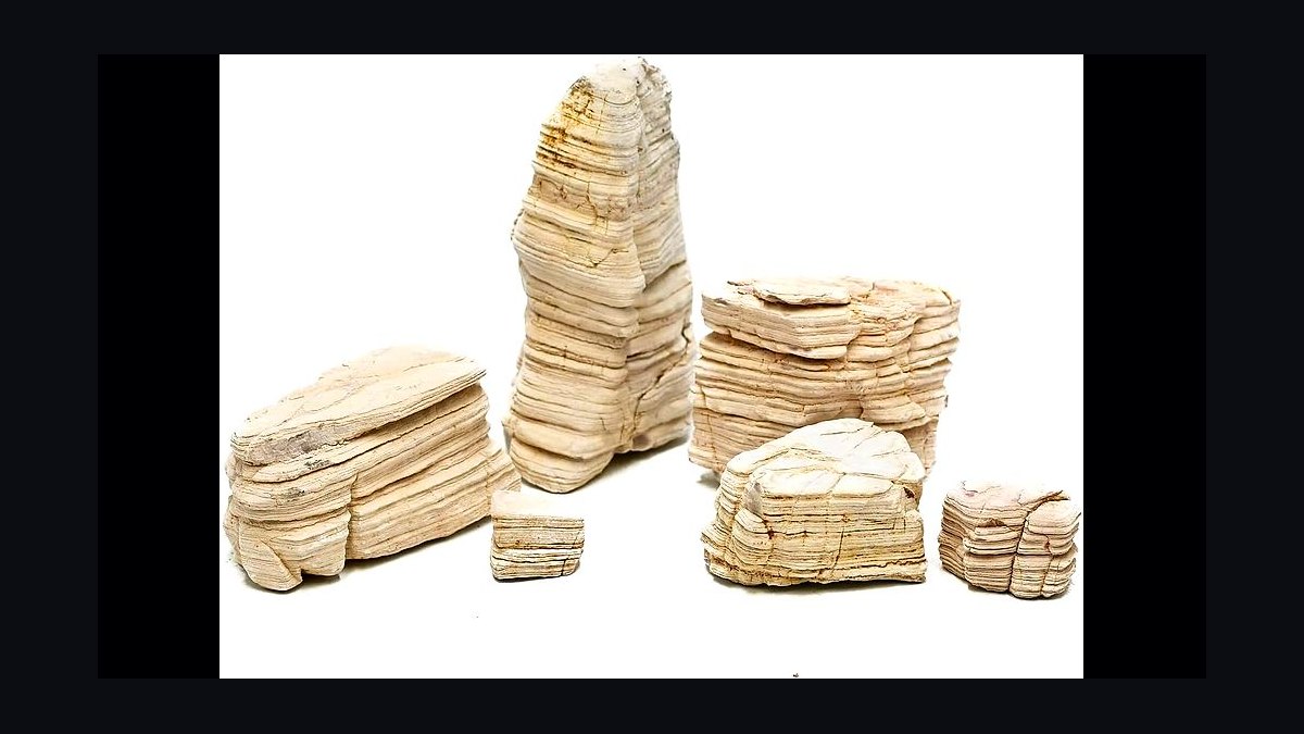 Top 10 Planted Tank Hardscape Rocks (Seiryu, Dragon, Ohko, Lava) in 2027 — figure 4