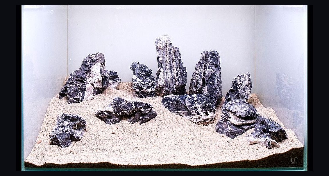 Top 10 Planted Tank Hardscape Rocks (Seiryu, Dragon, Ohko, Lava) in 2027