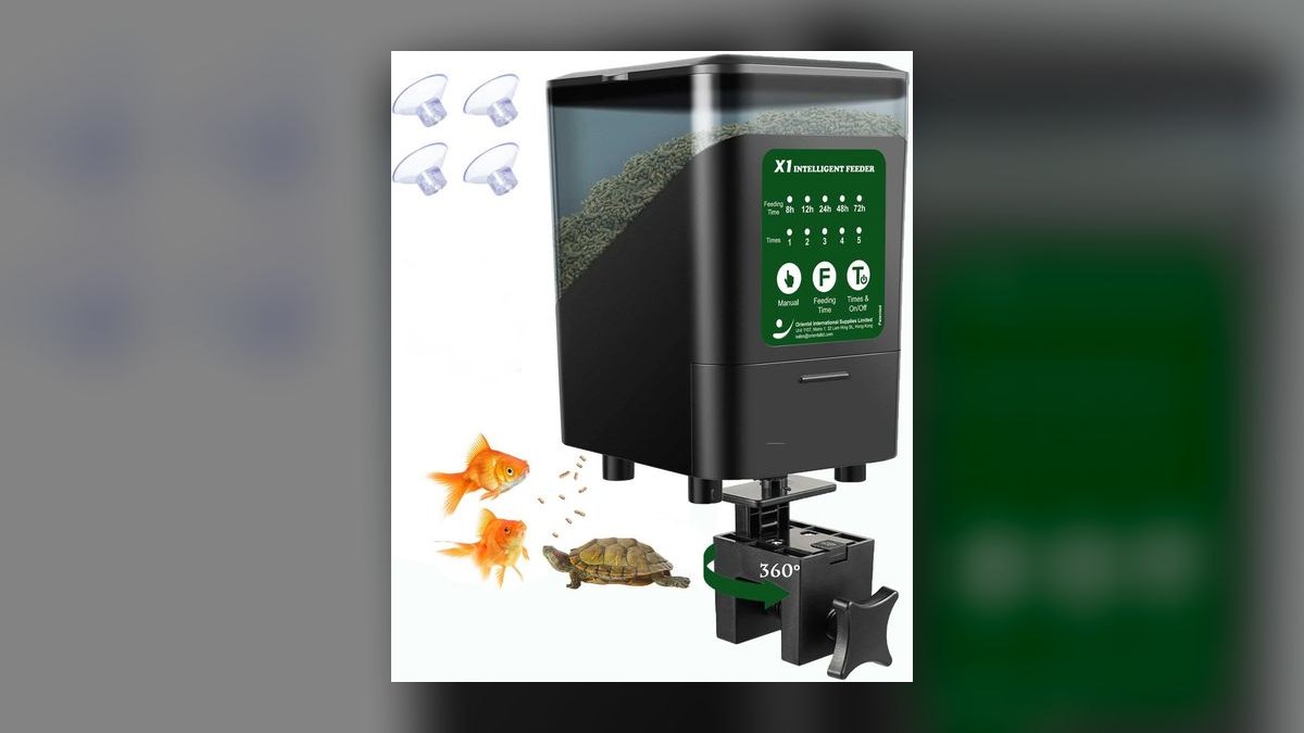 Top 10 Automatic Fish Feeders for Vacation or Daily Use in 2027 — figure 10