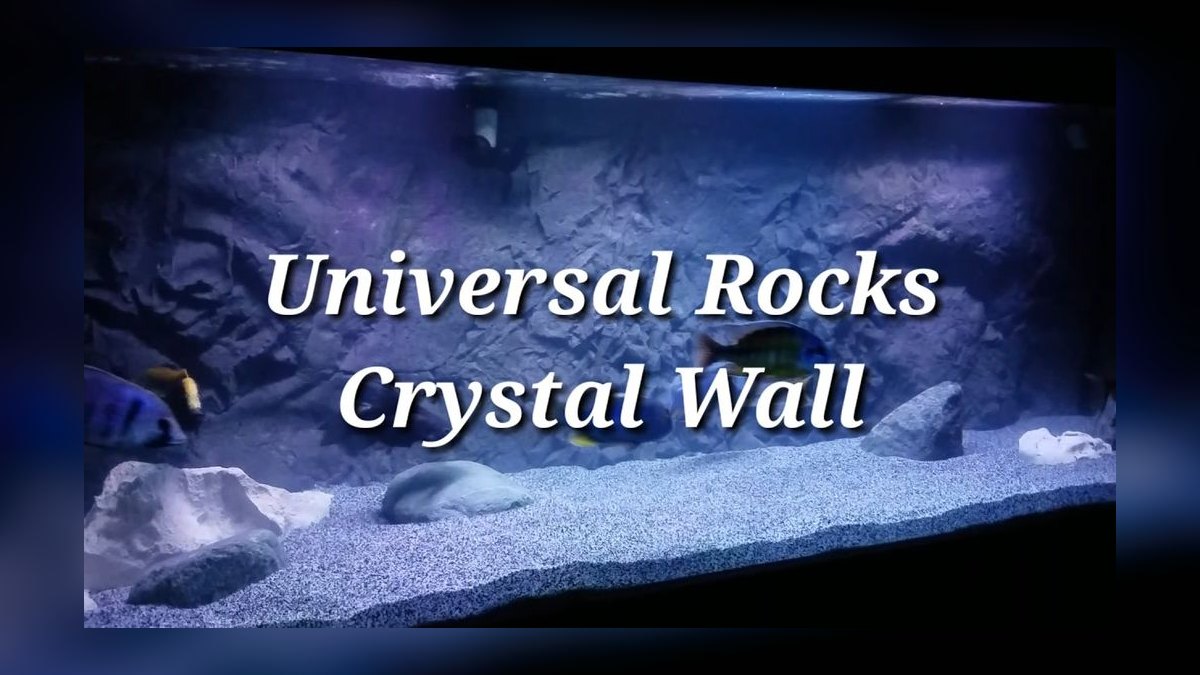 Top 10 Aquarium Backgrounds (3D, Black, Blue, and Painted) — figure 10