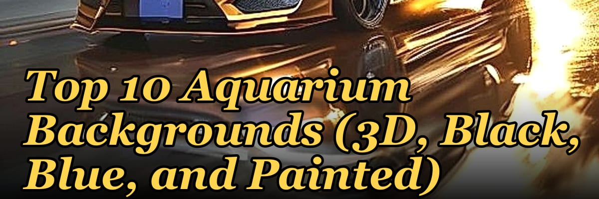 Top 10 Aquarium Backgrounds (3D, Black, Blue, and Painted)