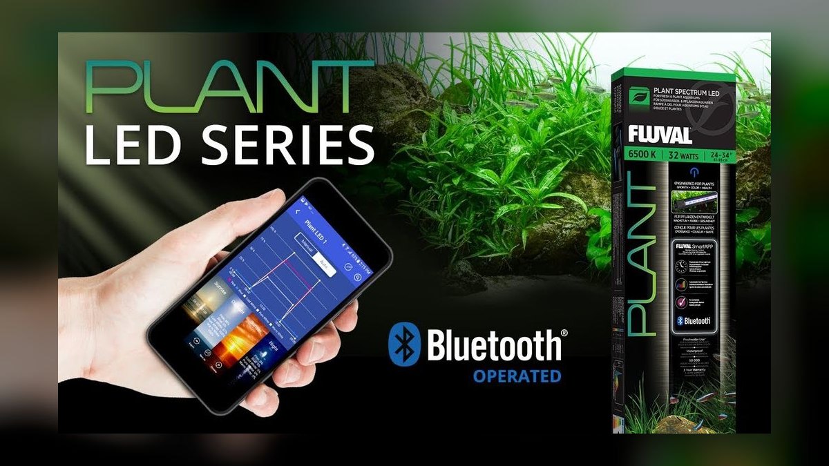 Top 10 LED Lighting Fixtures for Planted Aquariums Under $200 — figure 1