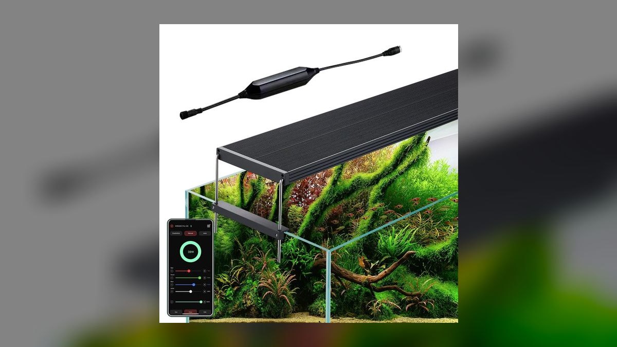 Top 10 LED Lighting Fixtures for Planted Aquariums Under $200 — figure 2