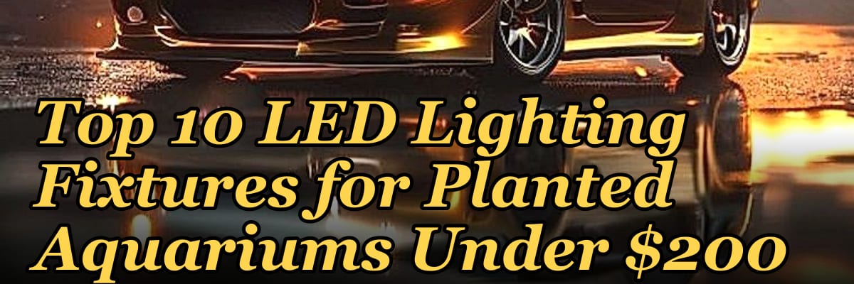 Top 10 LED Lighting Fixtures for Planted Aquariums Under $200