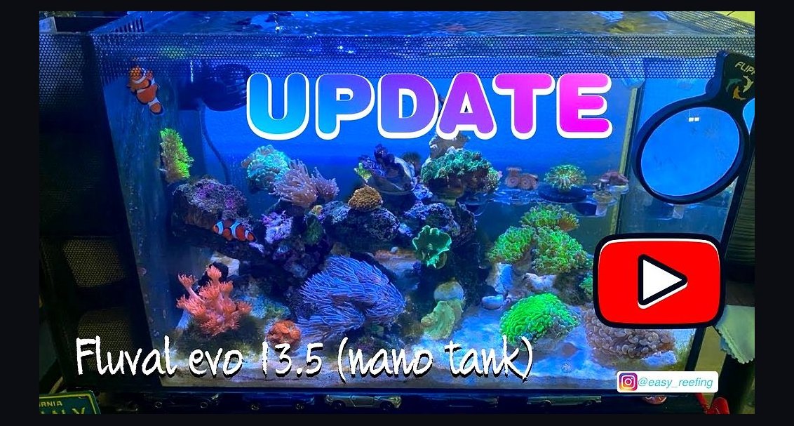 Top 10 Nano Reef Tanks Ready for Immediate Setup (All-in-One) in 2027