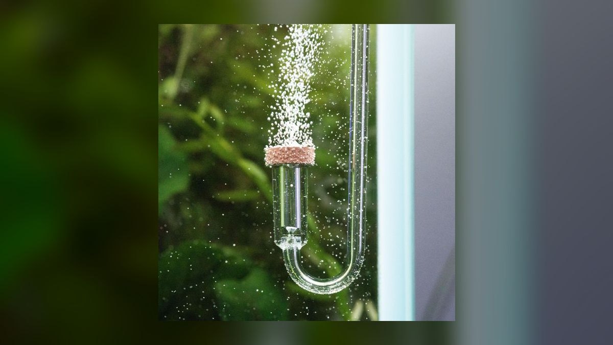 Top 10 Aquarium CO2 Systems for Low-Tech Planted Tanks — figure 2