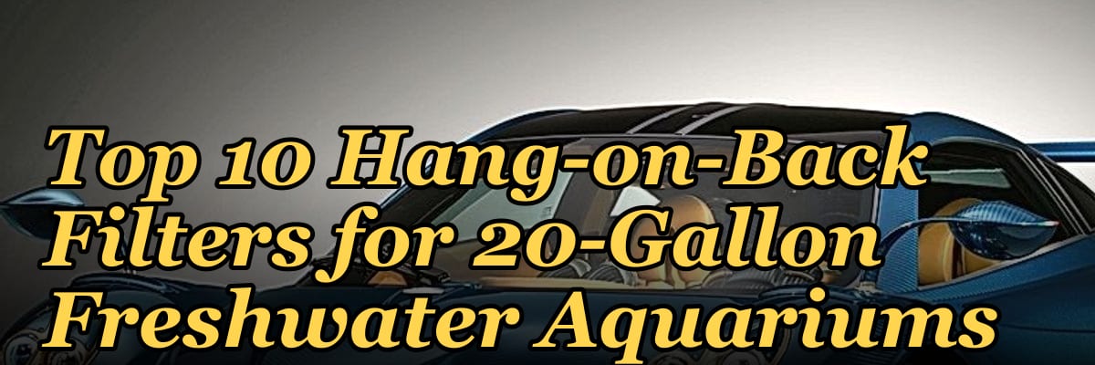 Top 10 Hang-on-Back Filters for 20-Gallon Freshwater Aquariums