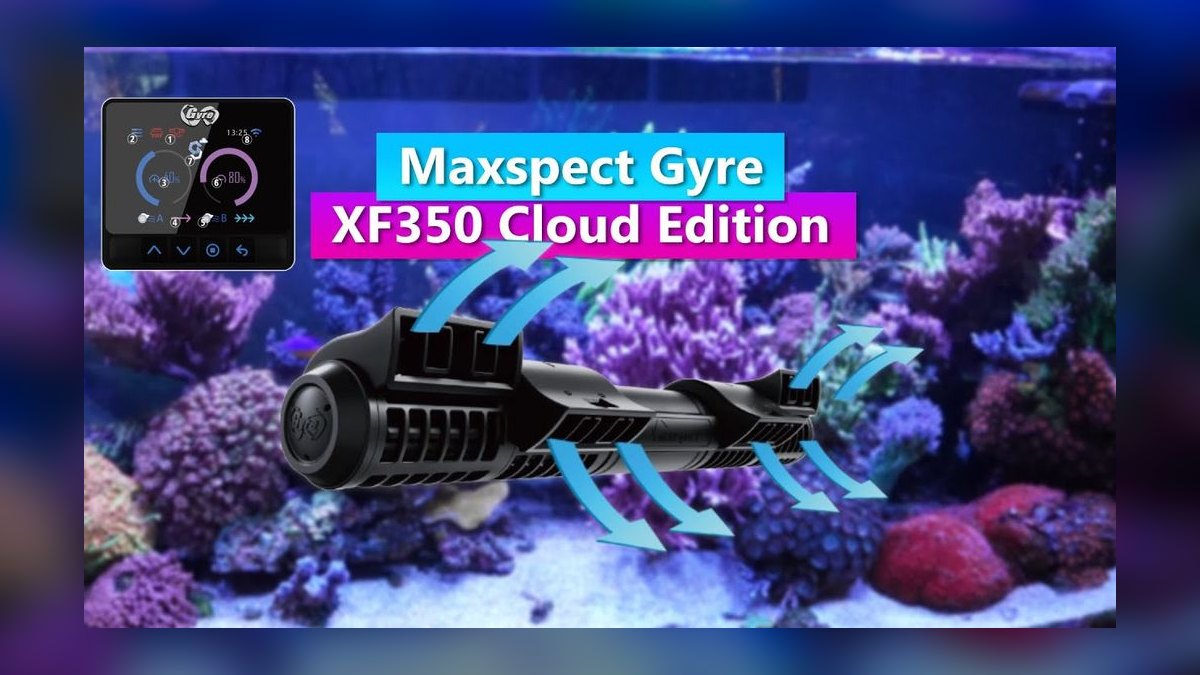 Top 10 Powerheads and Wavemakers for Mixed Reef Aquascapes — figure 4