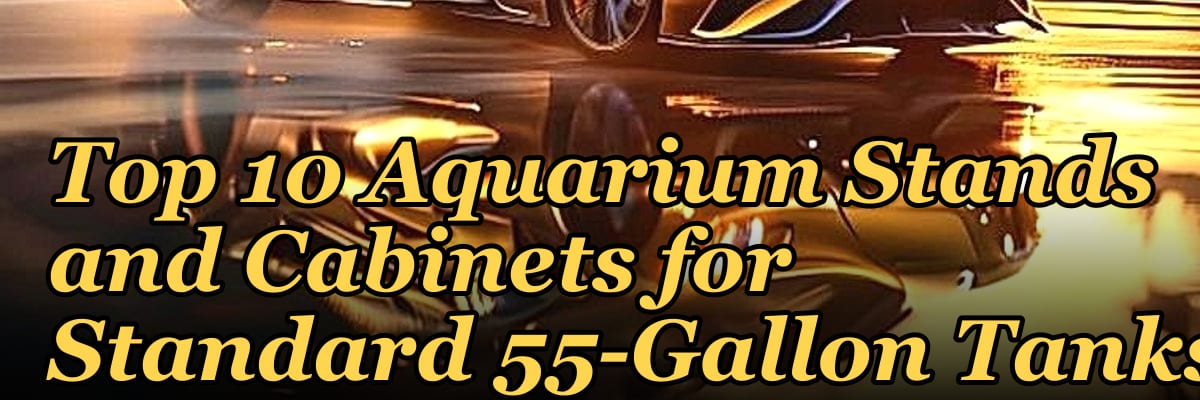 Top 10 Aquarium Stands and Cabinets for Standard 55-Gallon Tanks