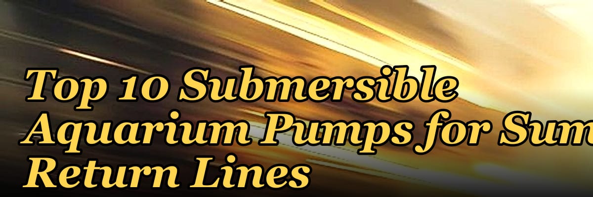 Top 10 Submersible Aquarium Pumps for Sump Return Lines