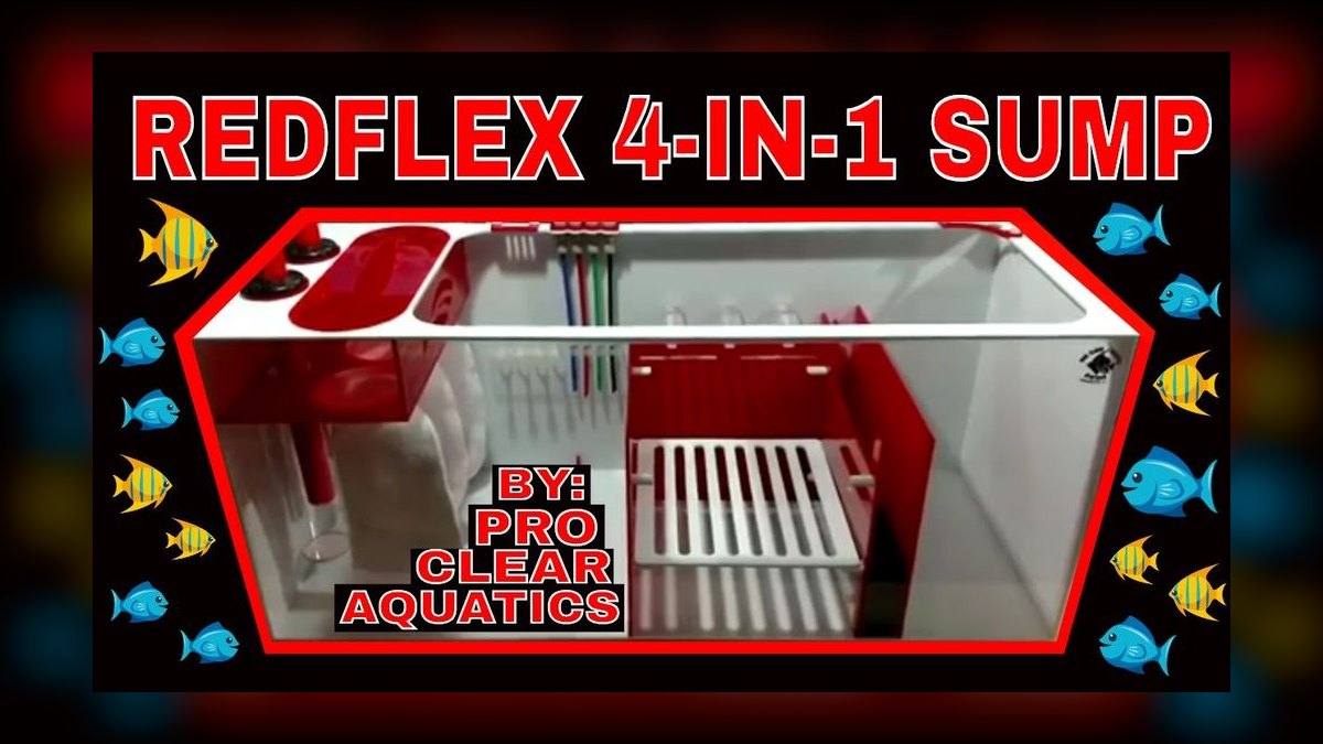 Top 10 Aquarium Sump Designs for 75-Gallon Display Tanks in 2027 — figure 10