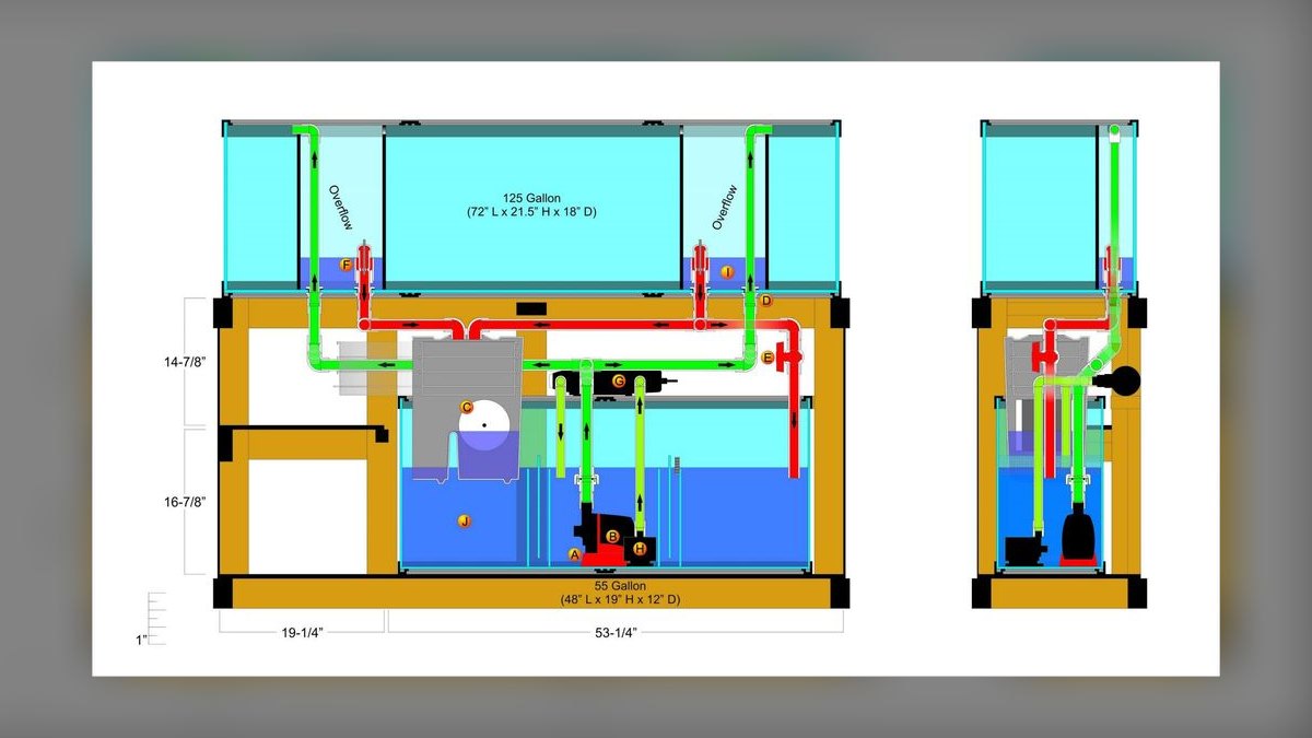 Top 10 Aquarium Sump Designs for 75-Gallon Display Tanks in 2027 — figure 3