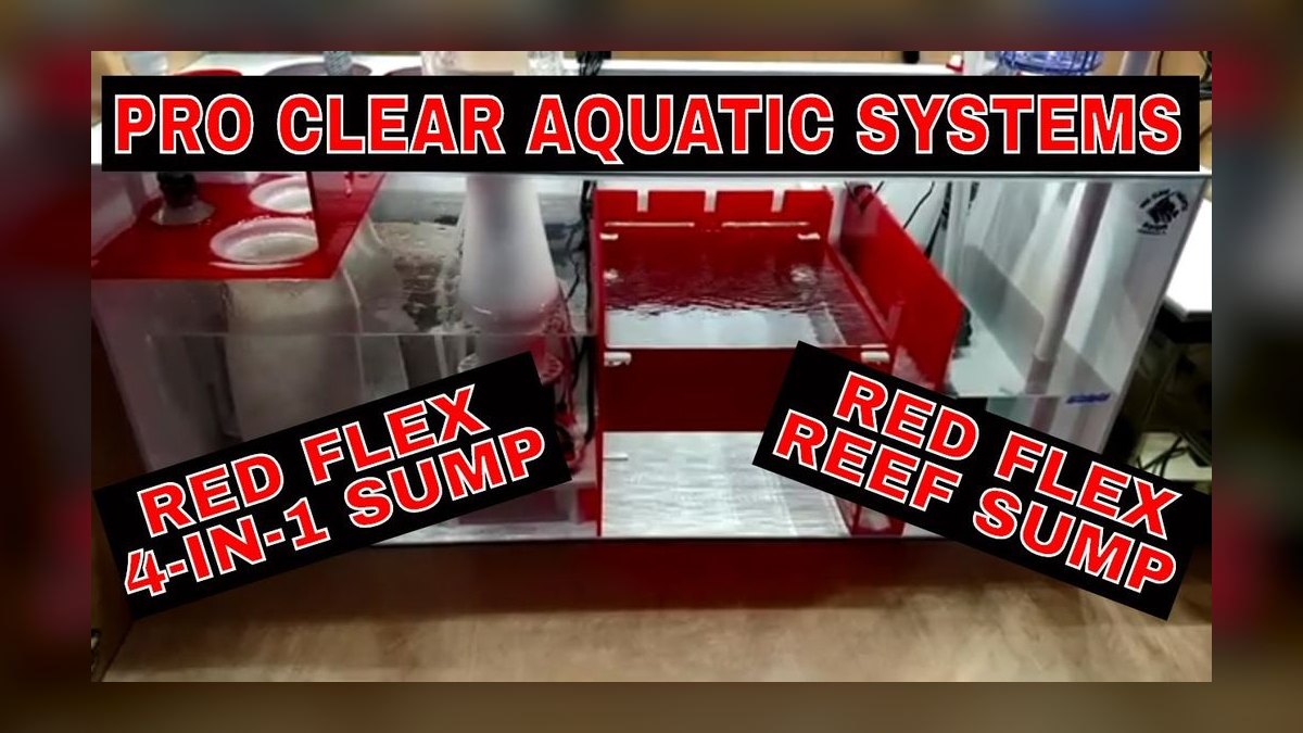 Top 10 Aquarium Sump Designs for 75-Gallon Display Tanks in 2027 — figure 4