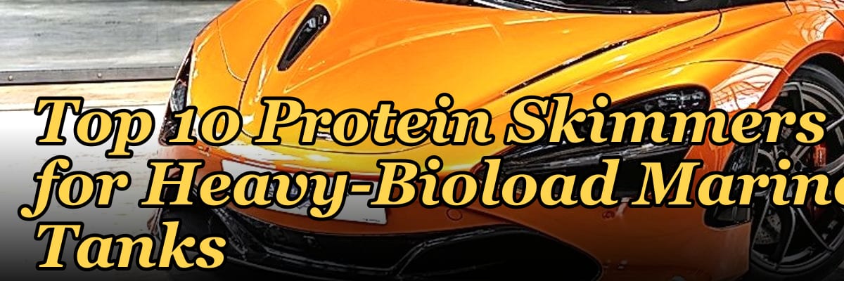 Top 10 Protein Skimmers for Heavy-Bioload Marine Tanks
