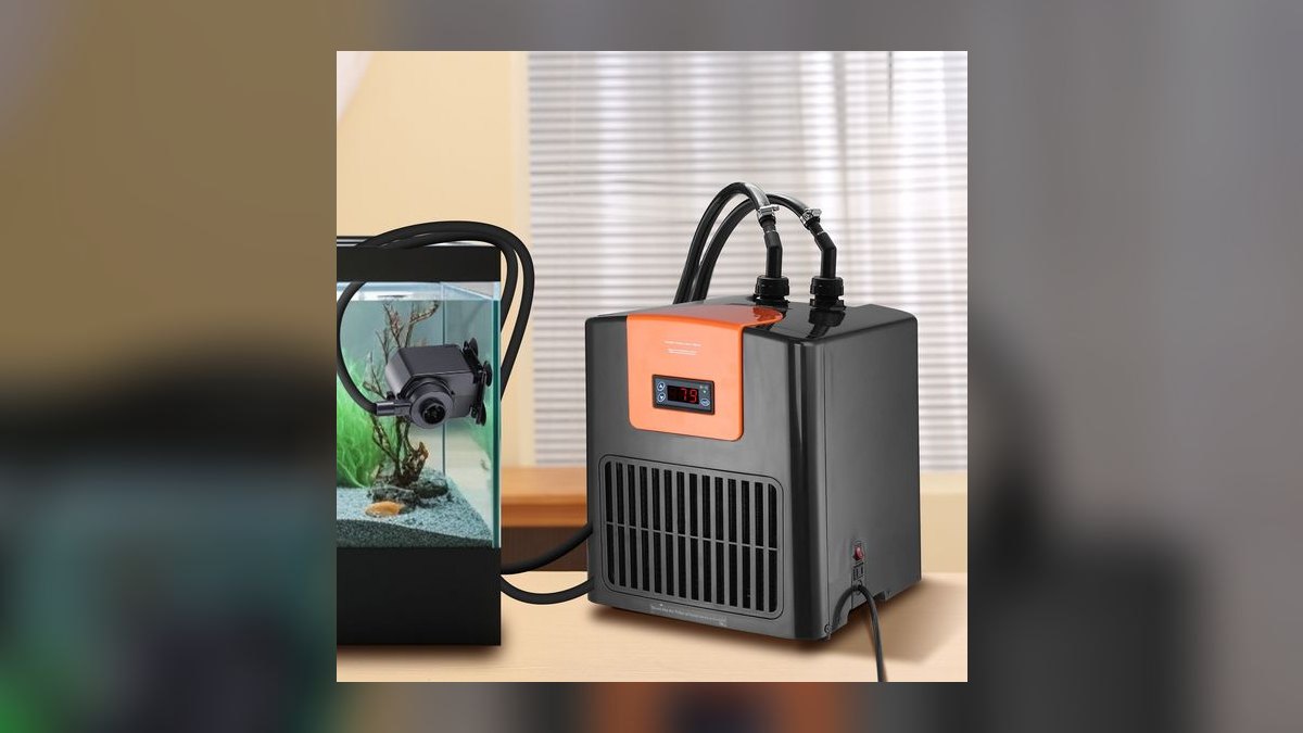 Top 10 Aquarium Chillers for Reef Tanks in Hot Climates in 2027 — figure 9