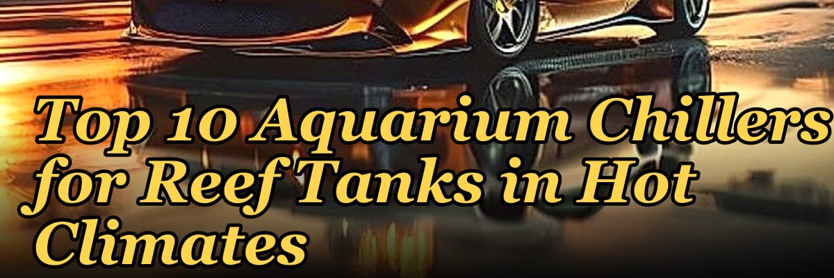 Top 10 Aquarium Chillers for Reef Tanks in Hot Climates