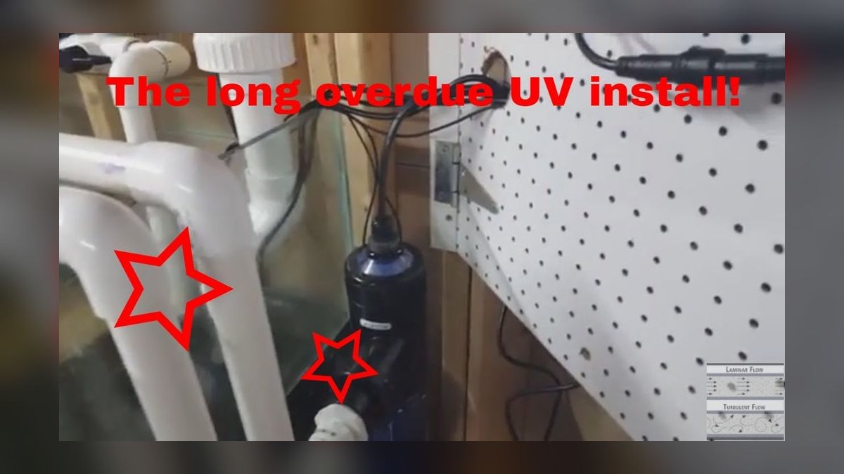 Top 10 Aquarium UV Sterilizers for Green Water Control in 2027 — figure 2
