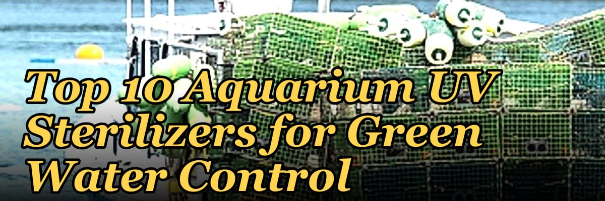 Top 10 Aquarium UV Sterilizers for Green Water Control