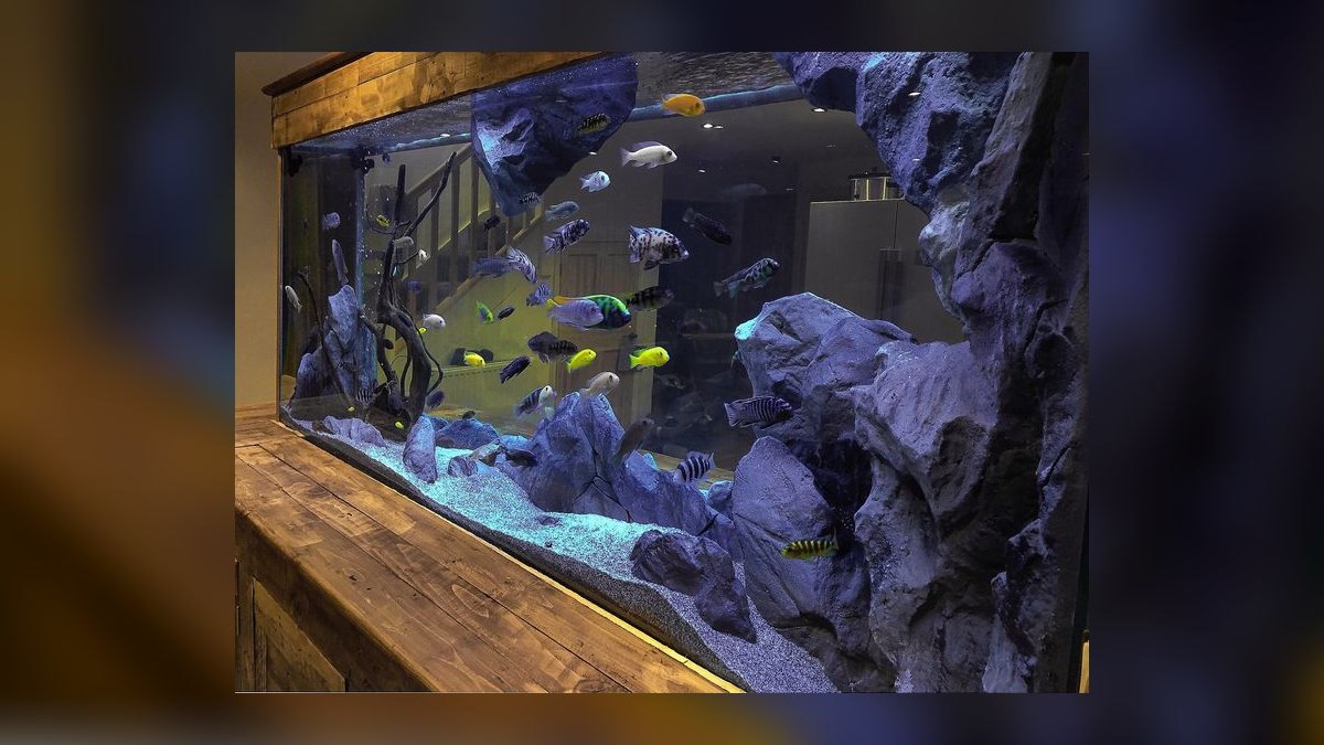 Top 10 Aquarium Backgrounds for Hiding Equipment in Display Tanks in 2027 — figure 10