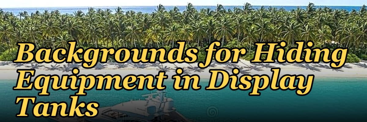 Top 10 Aquarium Backgrounds for Hiding Equipment in Display Tanks