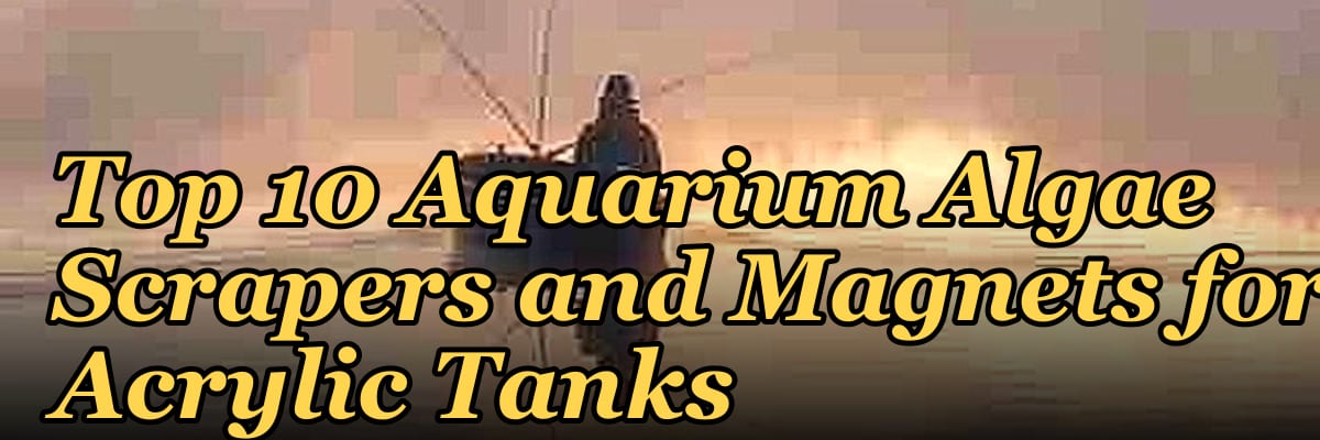 Top 10 Aquarium Algae Scrapers and Magnets for Acrylic Tanks