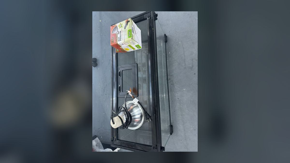 Top 10 Aquarium Quarantine Tanks Under 20 Gallons in 2027 — figure 10