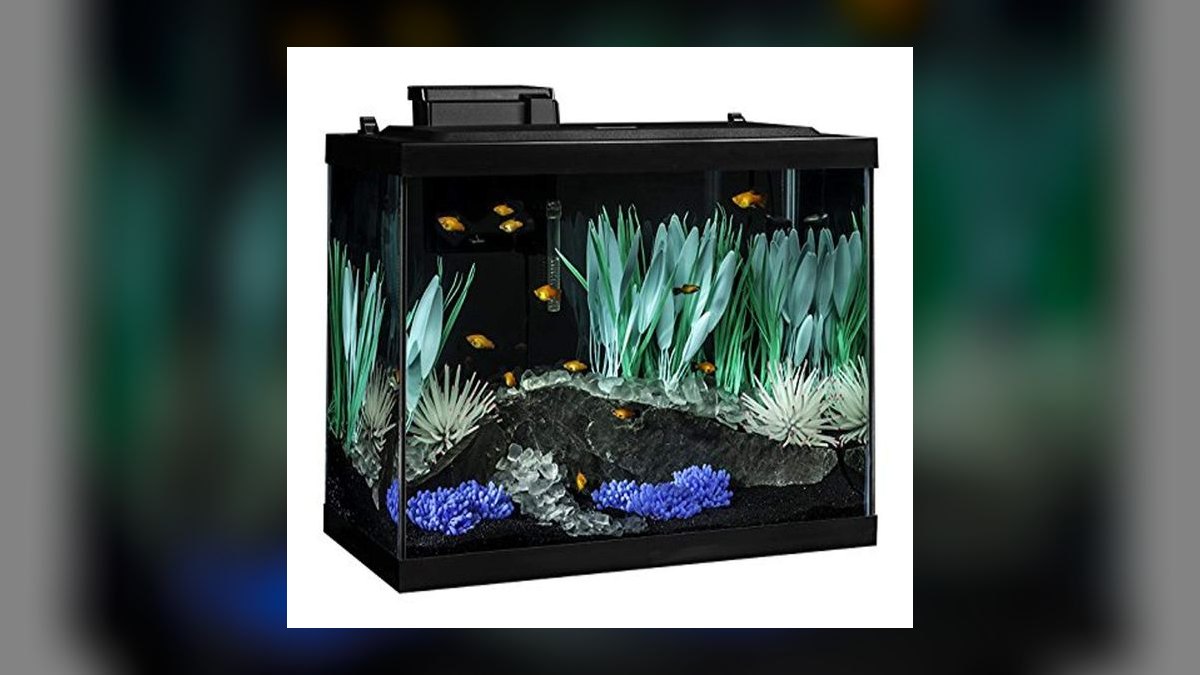 Top 10 Aquarium Quarantine Tanks Under 20 Gallons in 2027 — figure 7