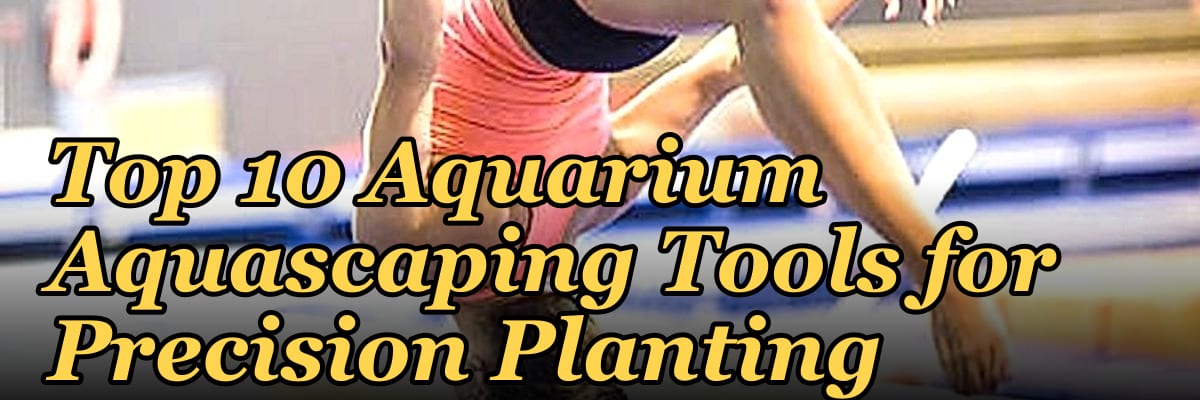 Top 10 Aquarium Aquascaping Tools for Precision Planting