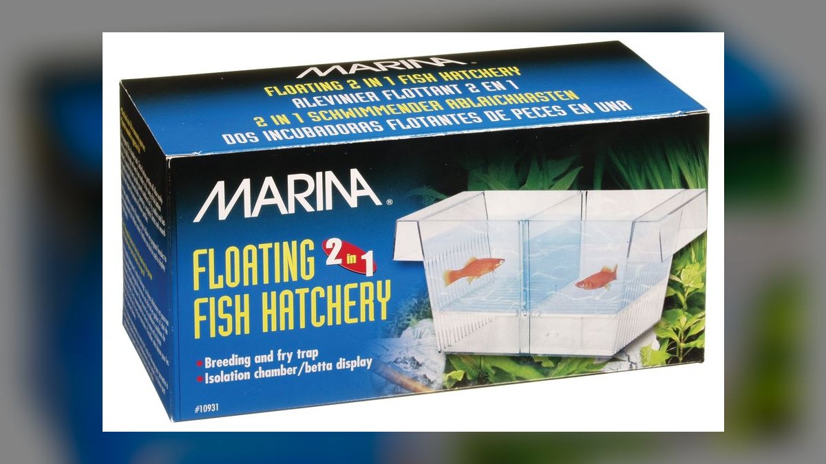 Top 10 Aquarium Fish Net Designs for Delicate Fins in 2027