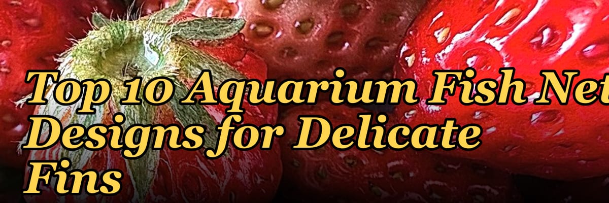 Top 10 Aquarium Fish Net Designs for Delicate Fins