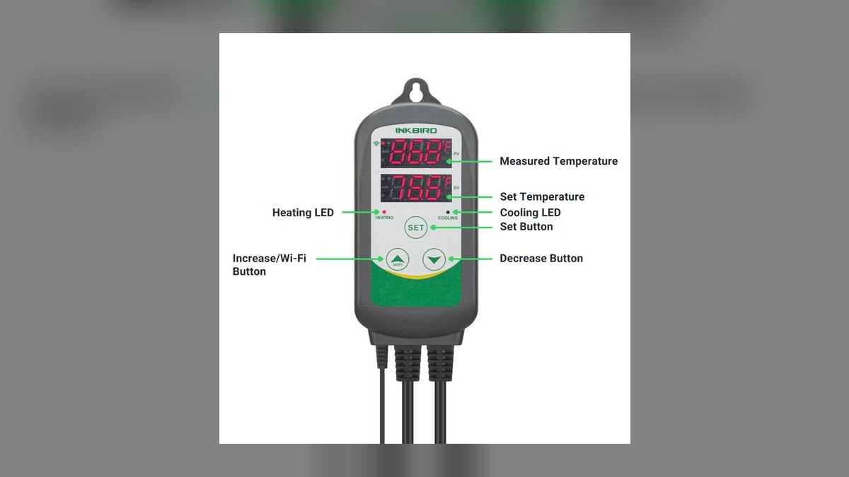 Top 10 Aquarium Thermometers for Accurate Temperature Monitoring in 2027