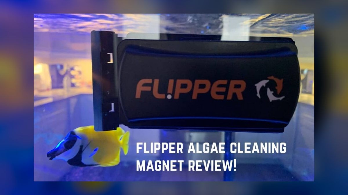 Top 10 Aquarium Algae Scrapers and Magnets for Acrylic Tanks in 2027