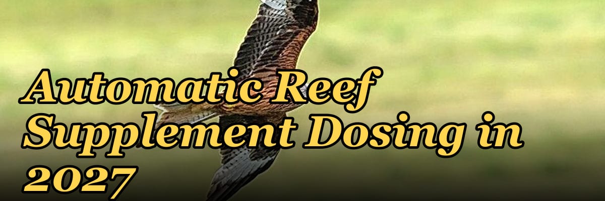 Top 10 Dosing Pumps for Automatic Reef Supplement Dosing in 2027