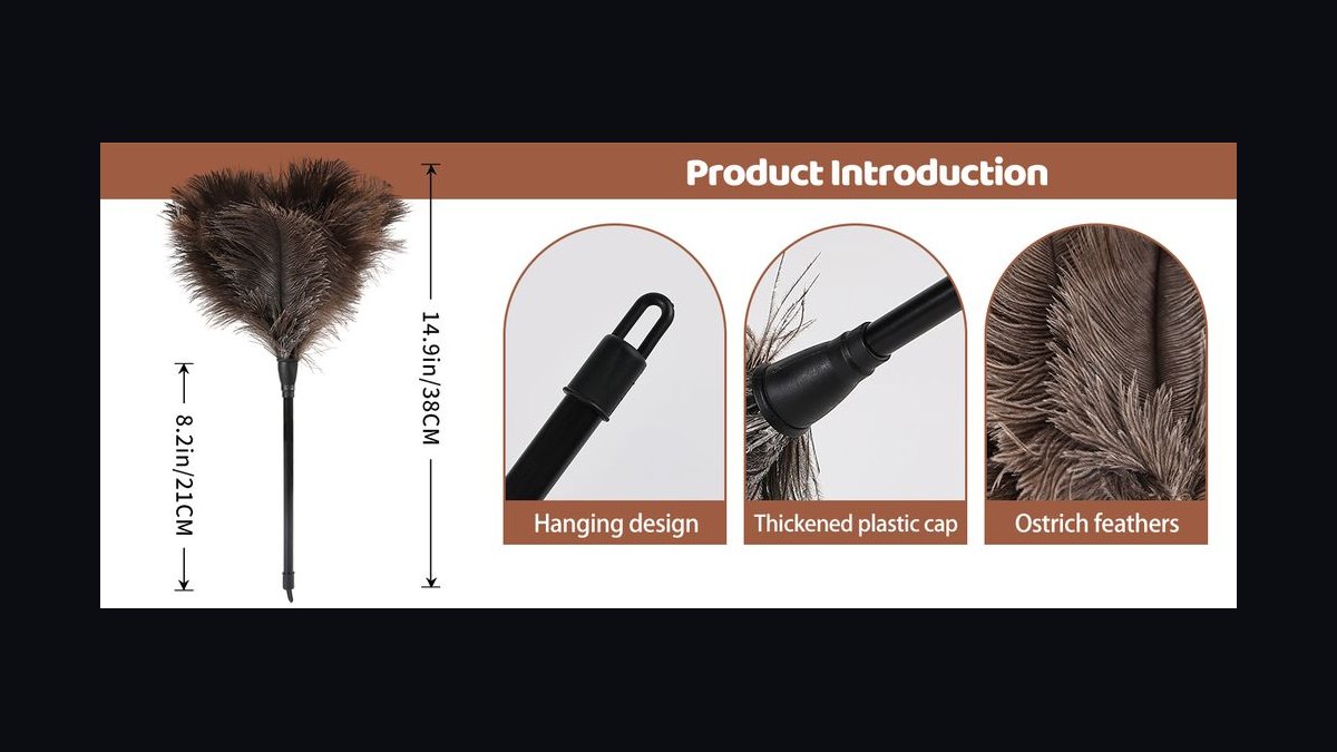 Top 10 Invertebrate Species for Cleaner Crews in Refugia in 2027 — figure 9