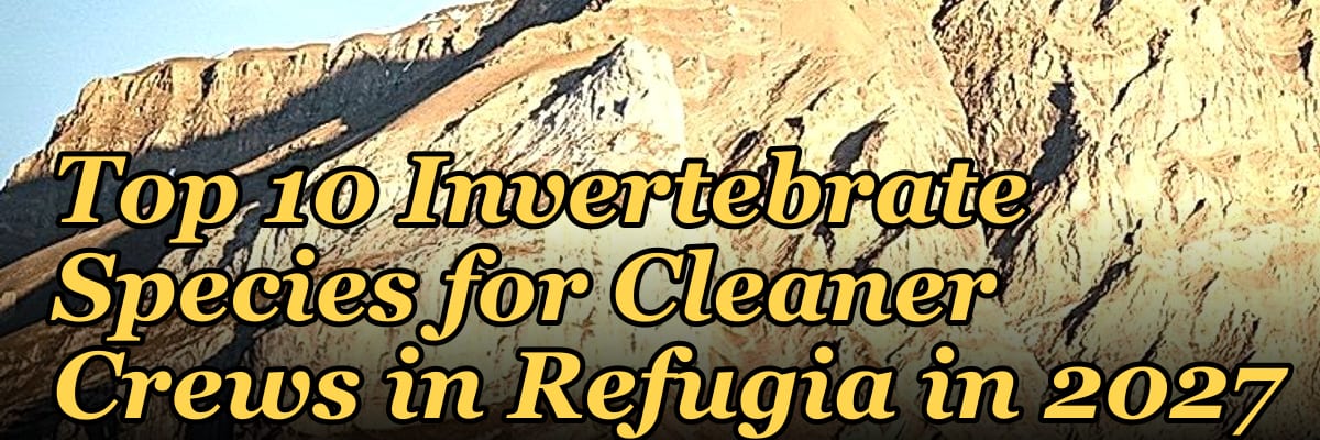 Top 10 Invertebrate Species for Cleaner Crews in Refugia in 2027