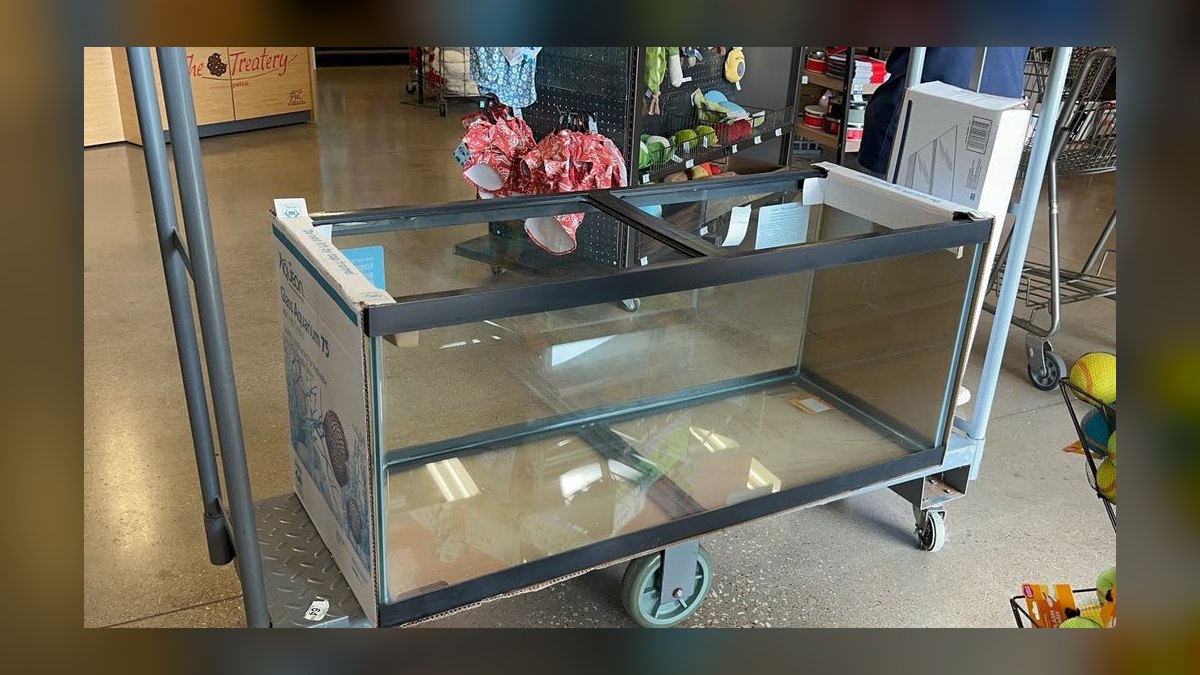 Top 10 Aquarium Glass Tanks by Aqueon, Marineland, and Seapora in 2027 — figure 1