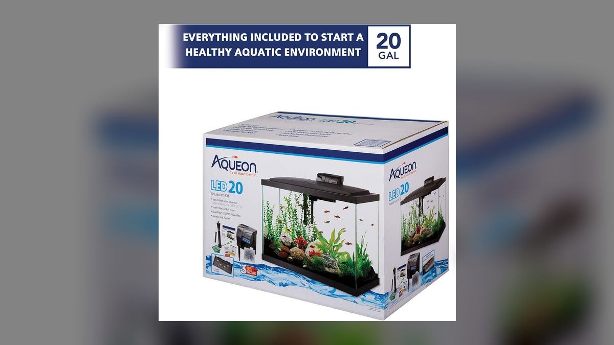 Top 10 Aquarium Glass Tanks by Aqueon, Marineland, and Seapora in 2027 — figure 10
