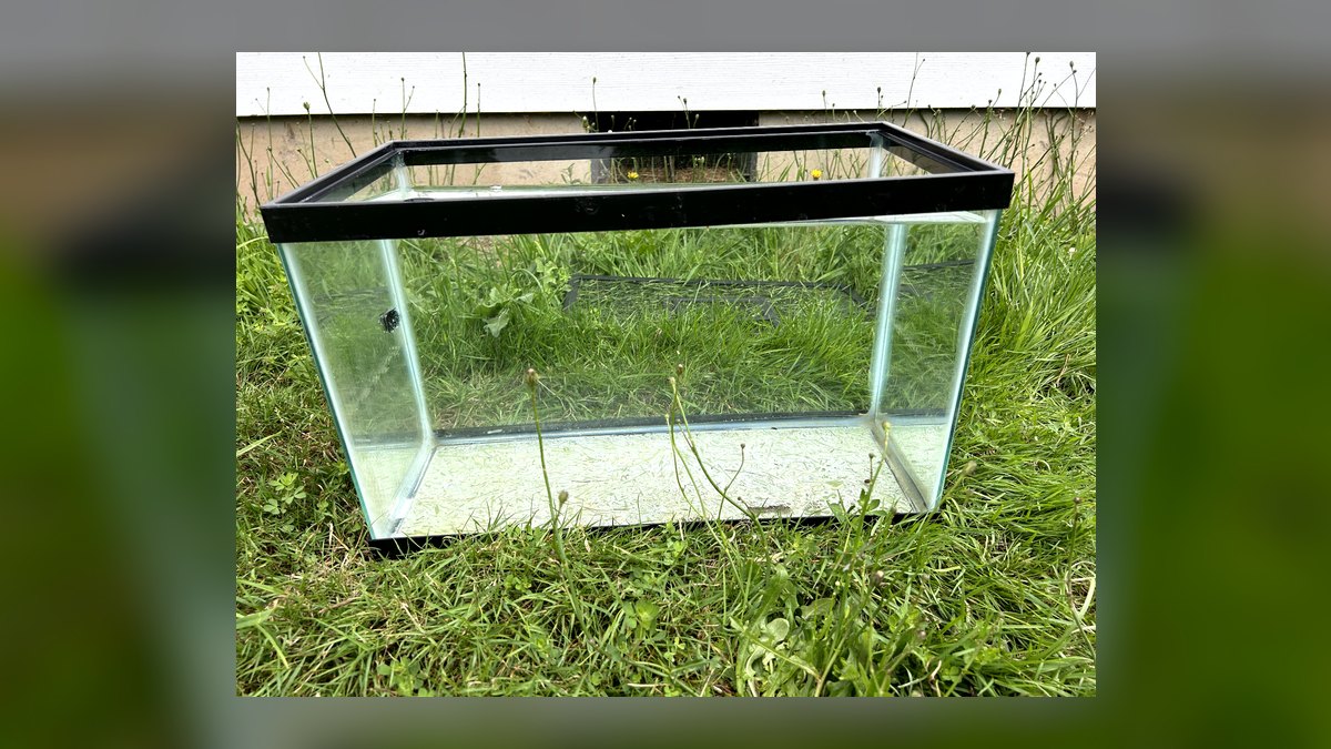 Top 10 Aquarium Glass Tanks by Aqueon, Marineland, and Seapora in 2027 — figure 3