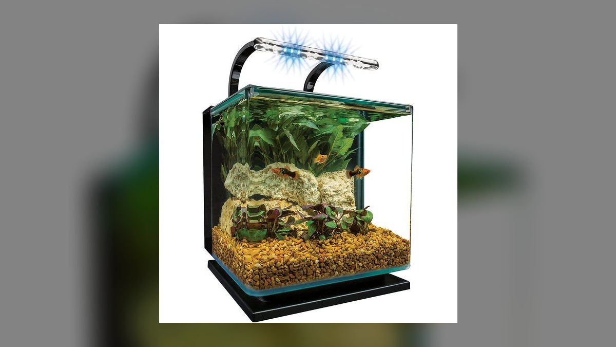 Top 10 Aquarium Glass Tanks by Aqueon, Marineland, and Seapora in 2027 — figure 6