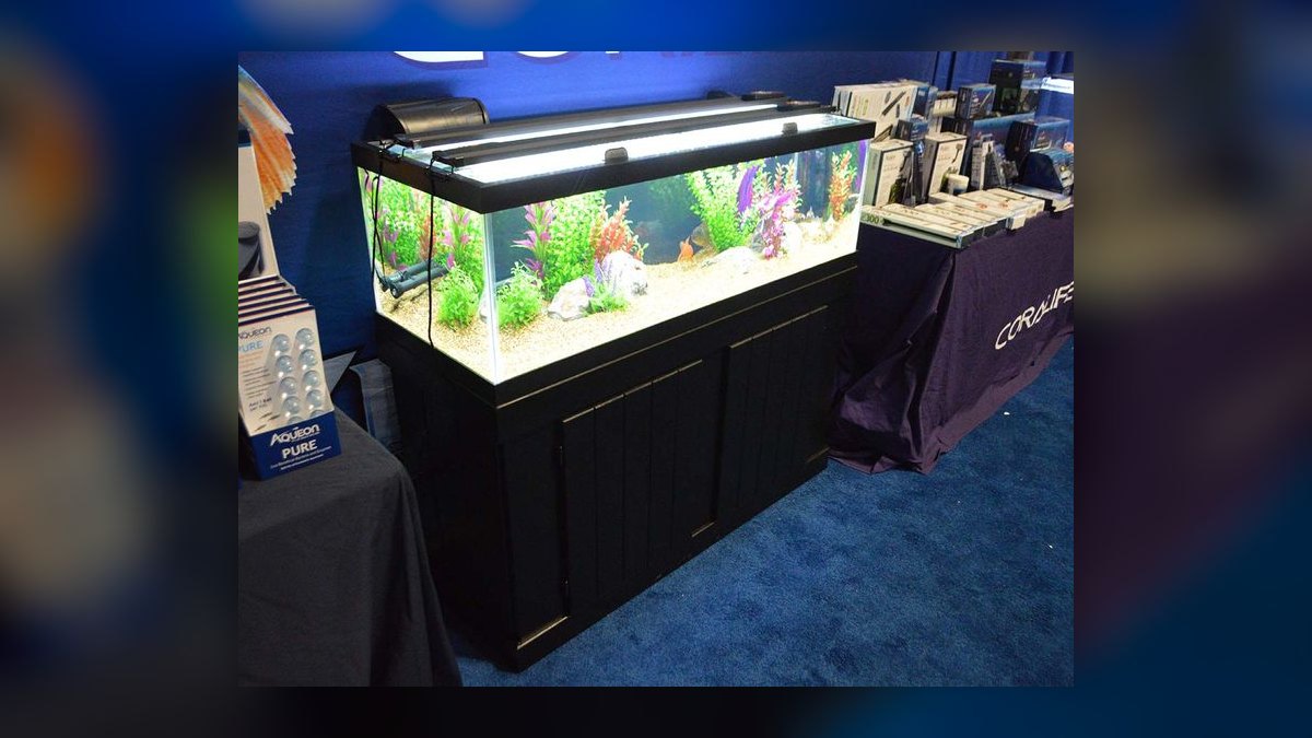 Top 10 Aquarium Glass Tanks by Aqueon, Marineland, and Seapora in 2027 — figure 7
