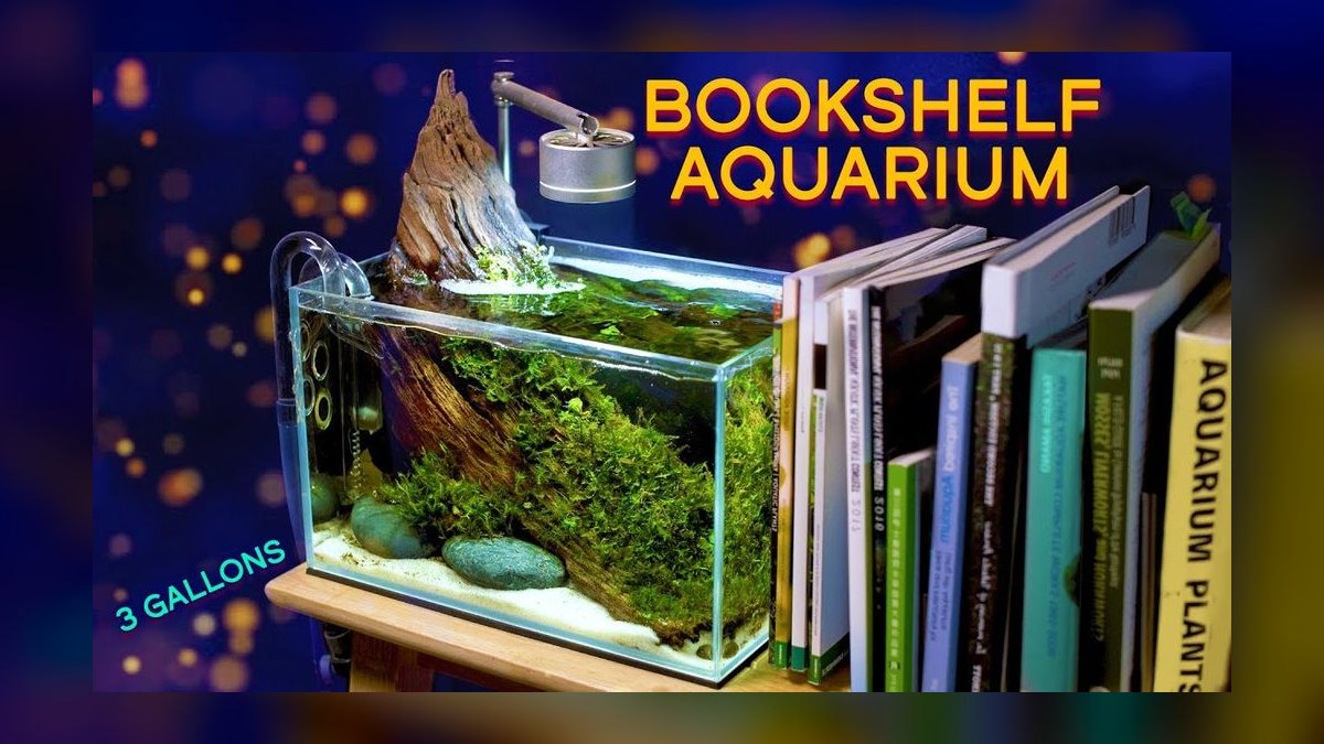 Top 10 Aquarium Glass Tanks by Aqueon, Marineland, and Seapora in 2027 — figure 9
