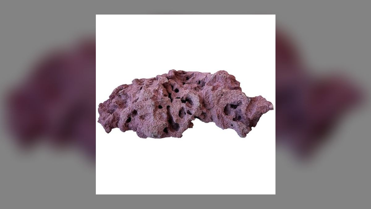 Top 10 Live Rock Types by Porosity and Curing for Saltwater Tanks in 2027 — figure 1