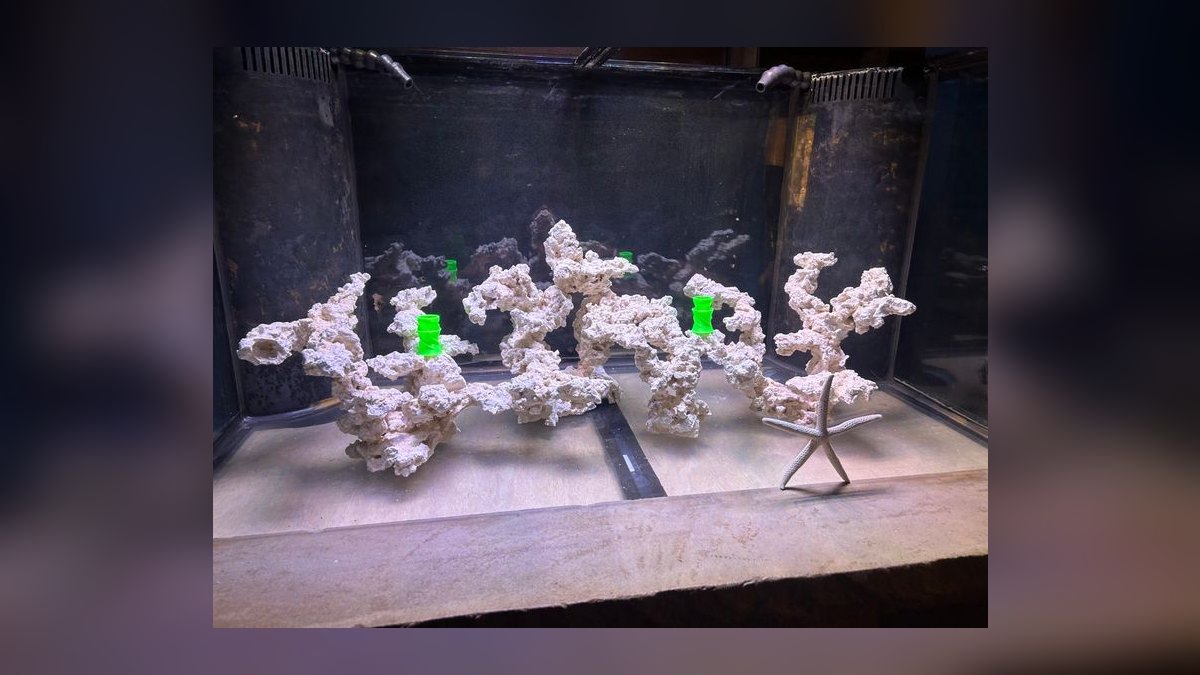 Top 10 Live Rock Types by Porosity and Curing for Saltwater Tanks in 2027 — figure 5