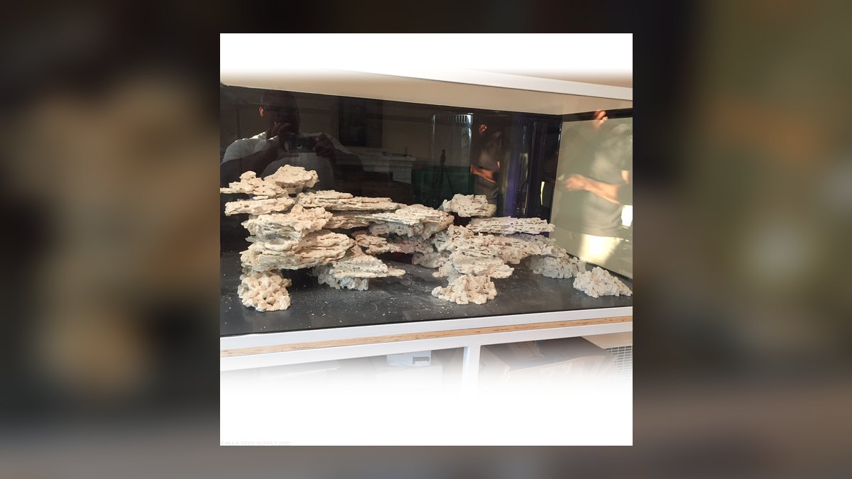 Top 10 Live Rock Types by Porosity and Curing for Saltwater Tanks in 2027 — figure 8