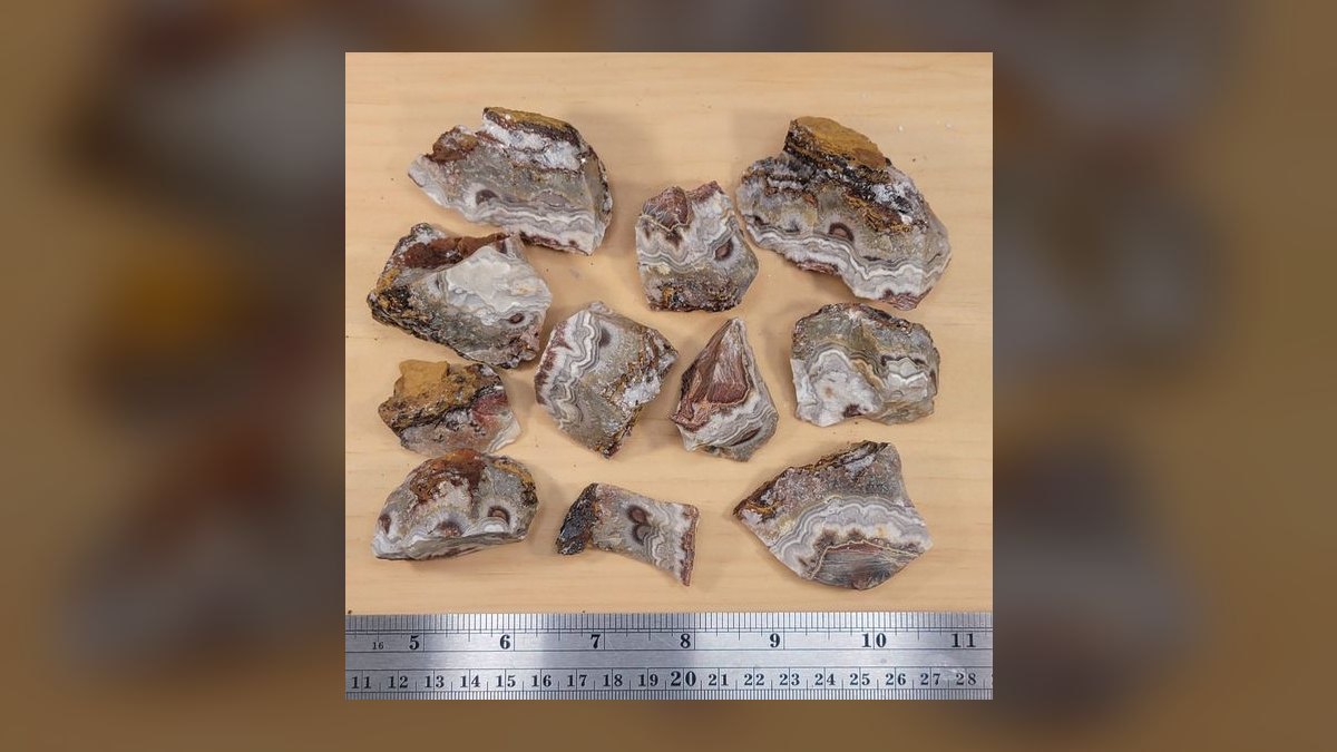Top 10 Live Rock Types by Porosity and Curing for Saltwater Tanks in 2027 — figure 9