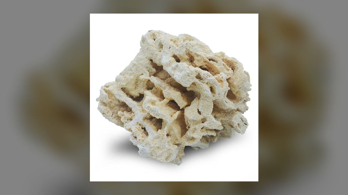 Top 10 Live Rock Types by Porosity and Curing for Saltwater Tanks in 2027