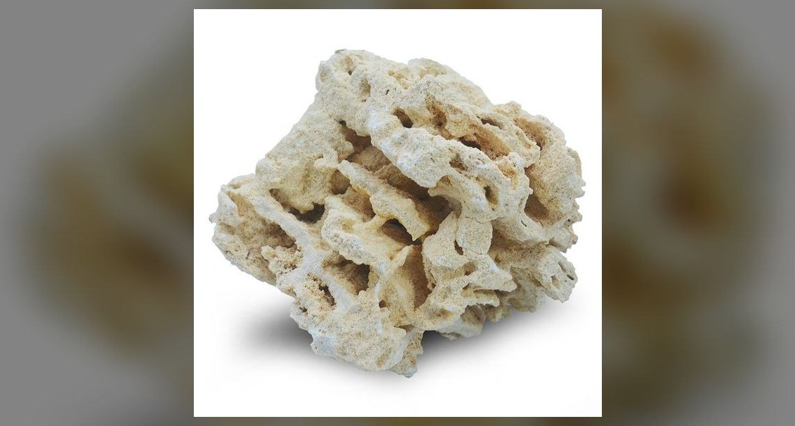 Top 10 Live Rock Types by Porosity and Curing for Saltwater Tanks in 2027
