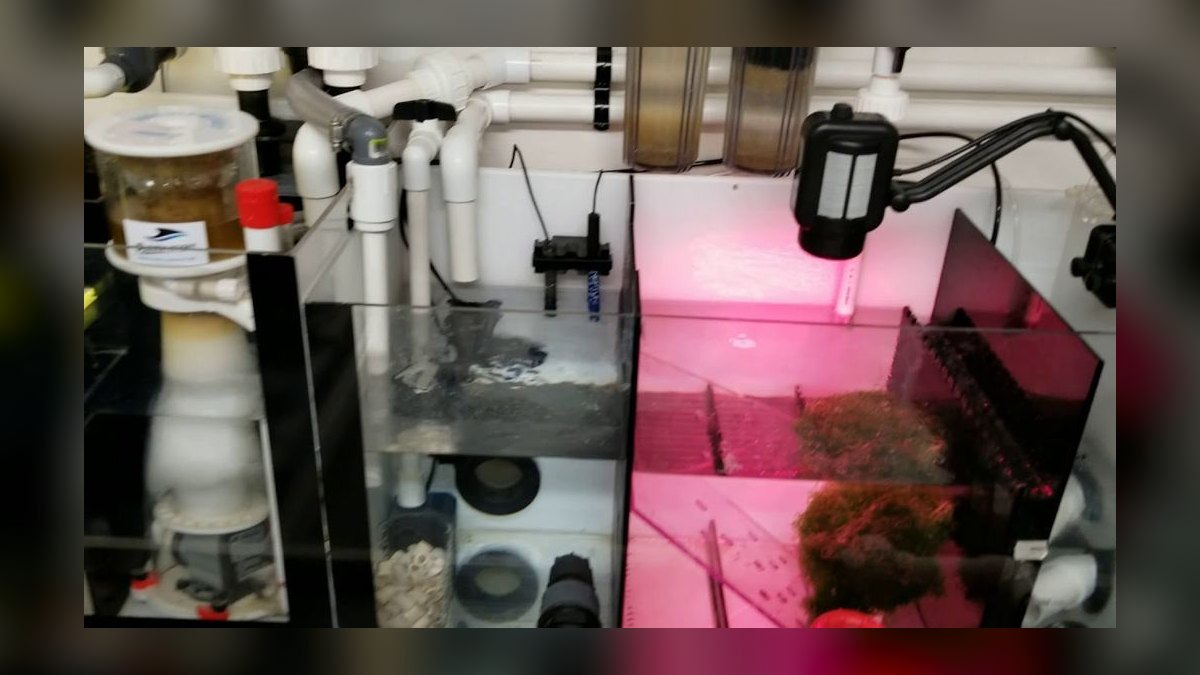 Top 10 Aquarium Automatic Top-Off Systems for Stable Salinity in 2027 — figure 7