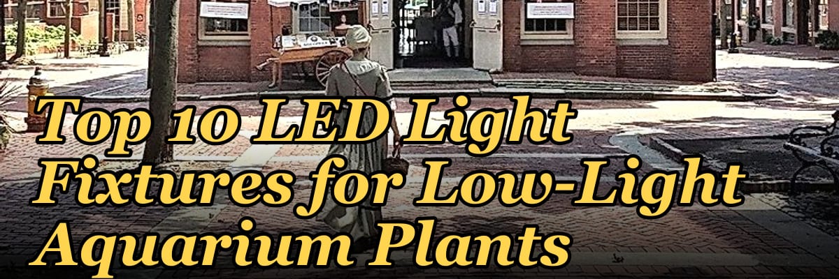 Top 10 LED Light Fixtures for Low-Light Aquarium Plants